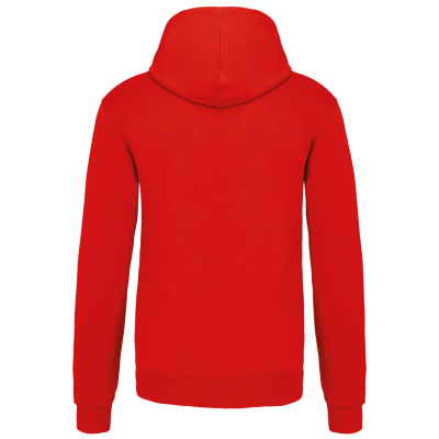 Sweat-shirt capuche contrastée homme – Image 64
