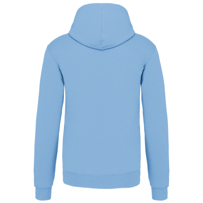 Sweat-shirt capuche contrastée homme – Image 67