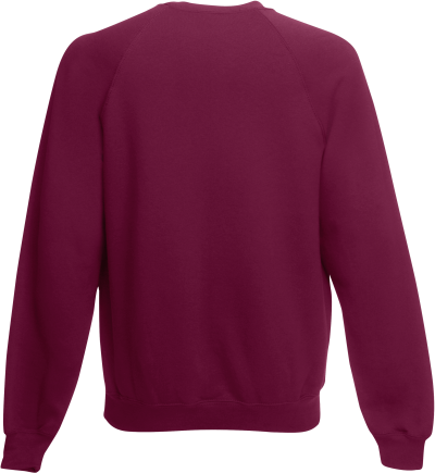 Sweat-shirt manches raglan (62-216-0) – Image 8