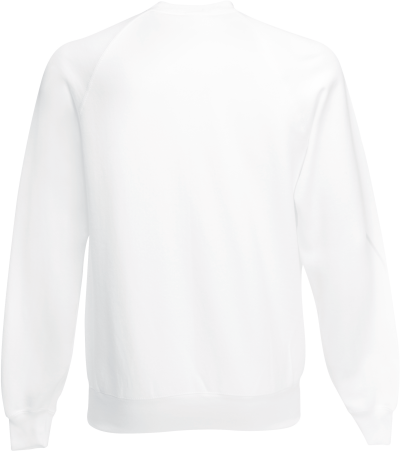 Sweat-shirt manches raglan (62-216-0) – Image 38